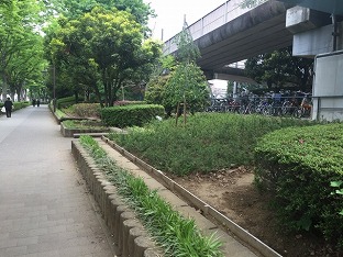 道路緑化工事2